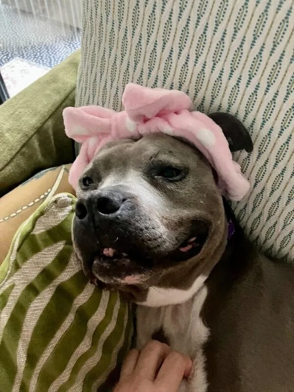 Tootsie Roll Your Happyhippo thumbnail 2