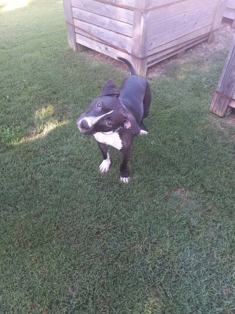Wyatt thumbnail 2