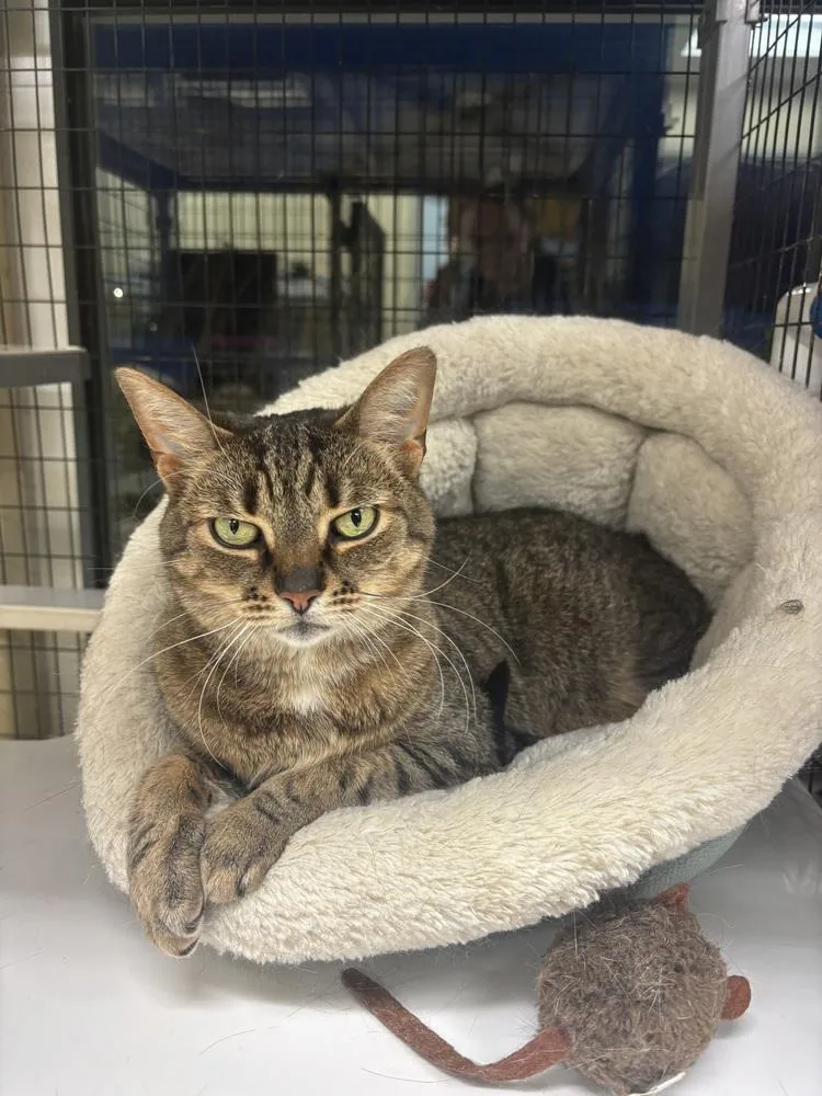 Skittles thumbnail 2