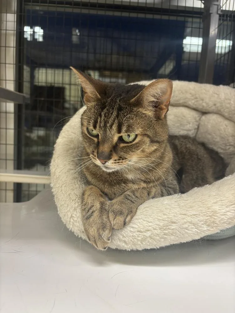 Skittles thumbnail 4