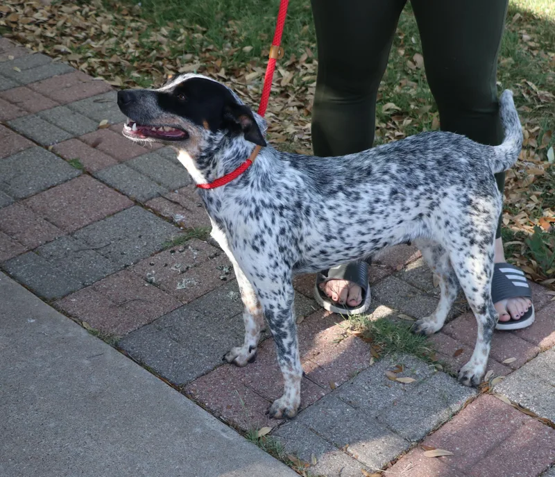 Sasha Heeler thumbnail 2