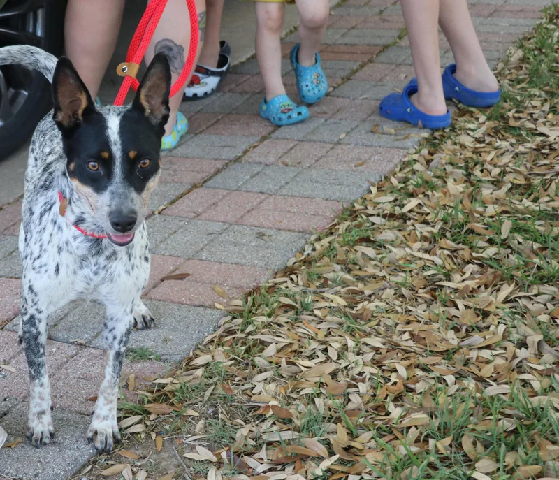 Sasha Heeler thumbnail 3