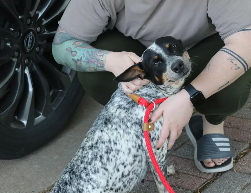 Sasha Heeler thumbnail 4