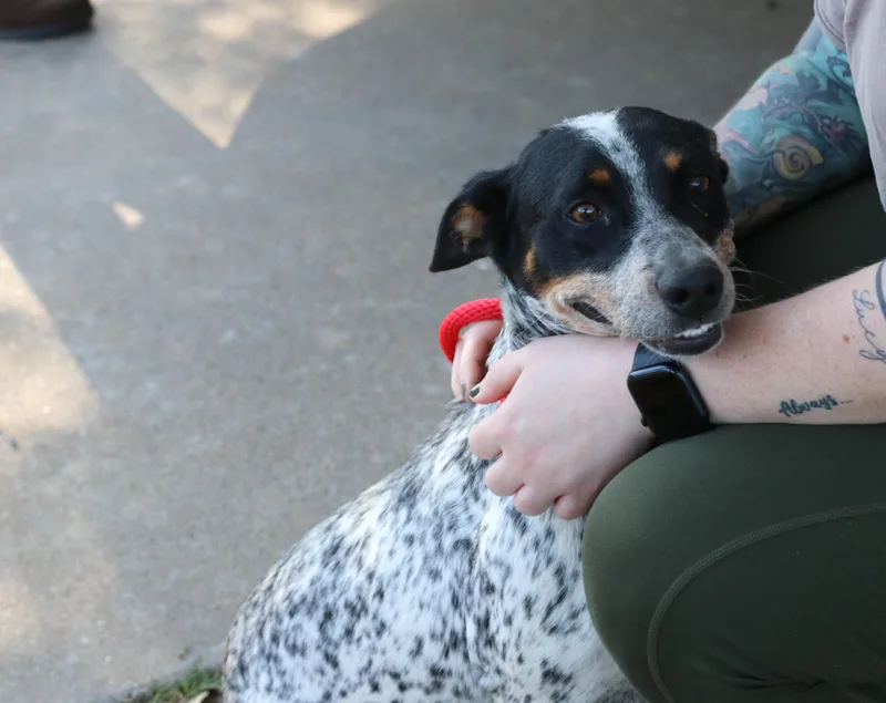 Sasha Heeler thumbnail 5