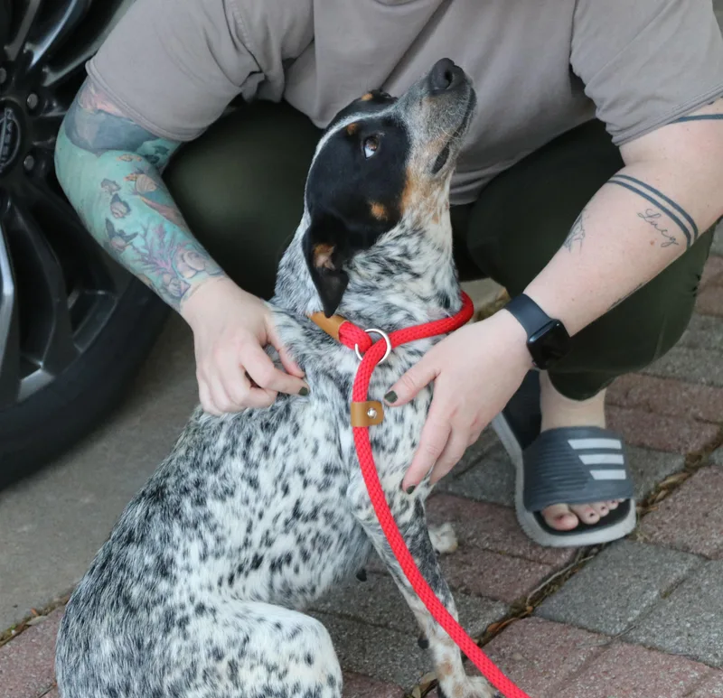 Sasha Heeler thumbnail 6