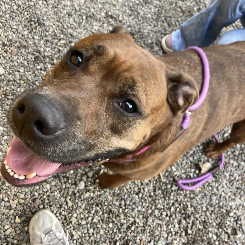 Remi Etienne thumbnail 2