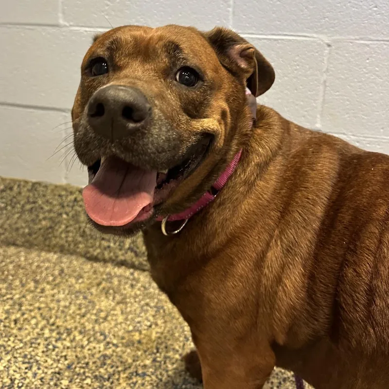 Remi Etienne thumbnail 3