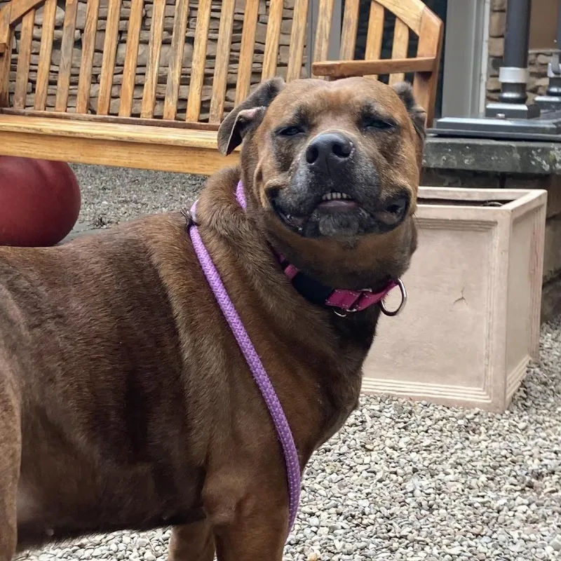 Remi Etienne thumbnail 4