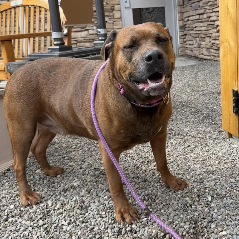 Remi Etienne thumbnail 5