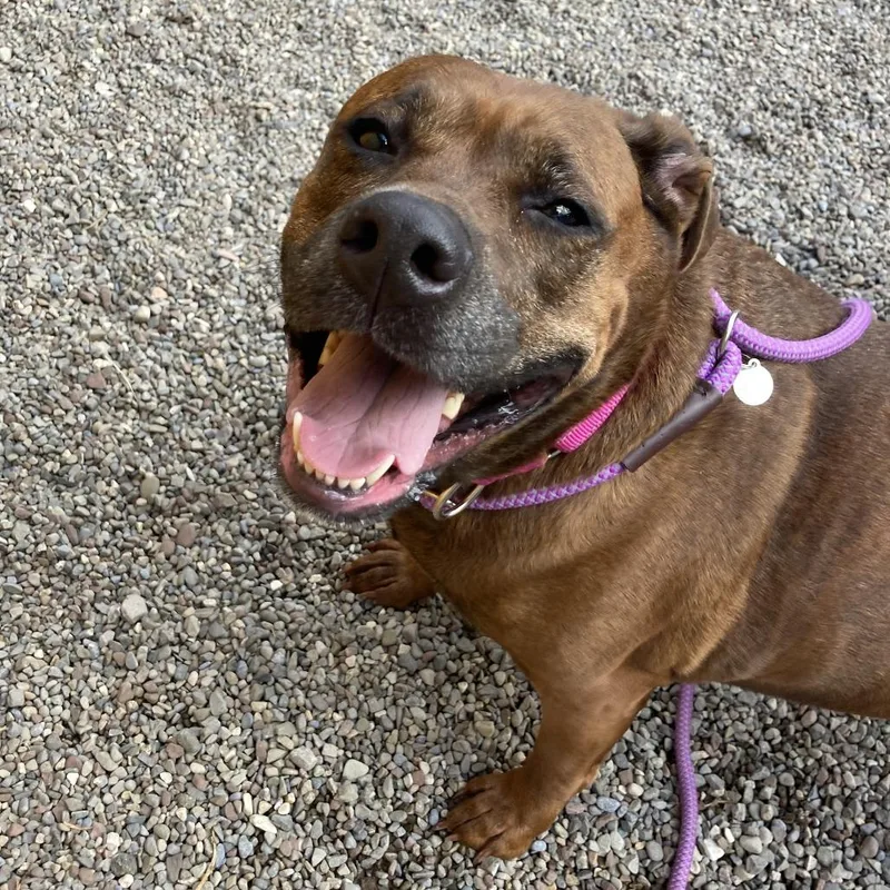 Remi Etienne thumbnail 6