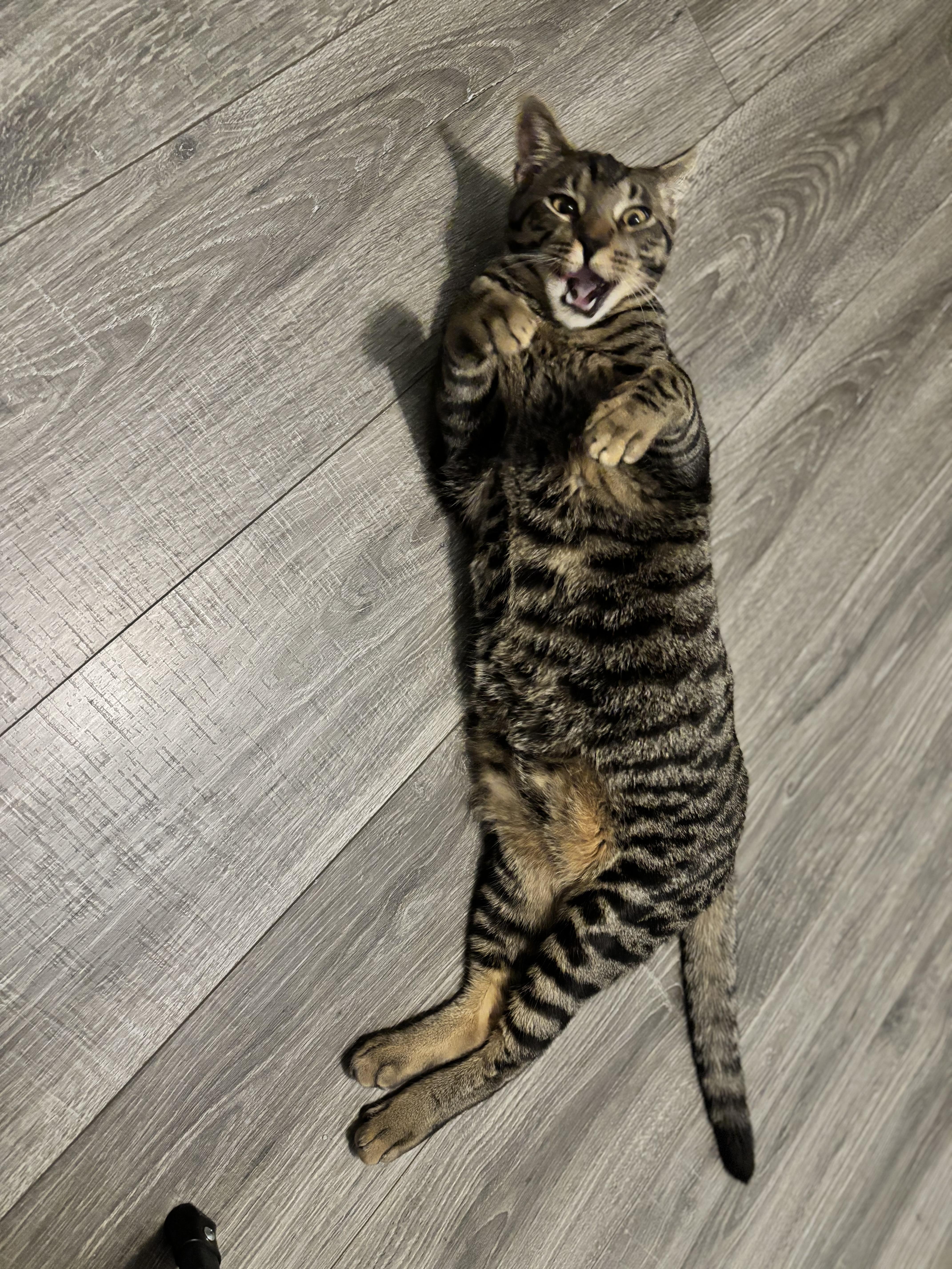 Donovan  From Forgotten thumbnail 2