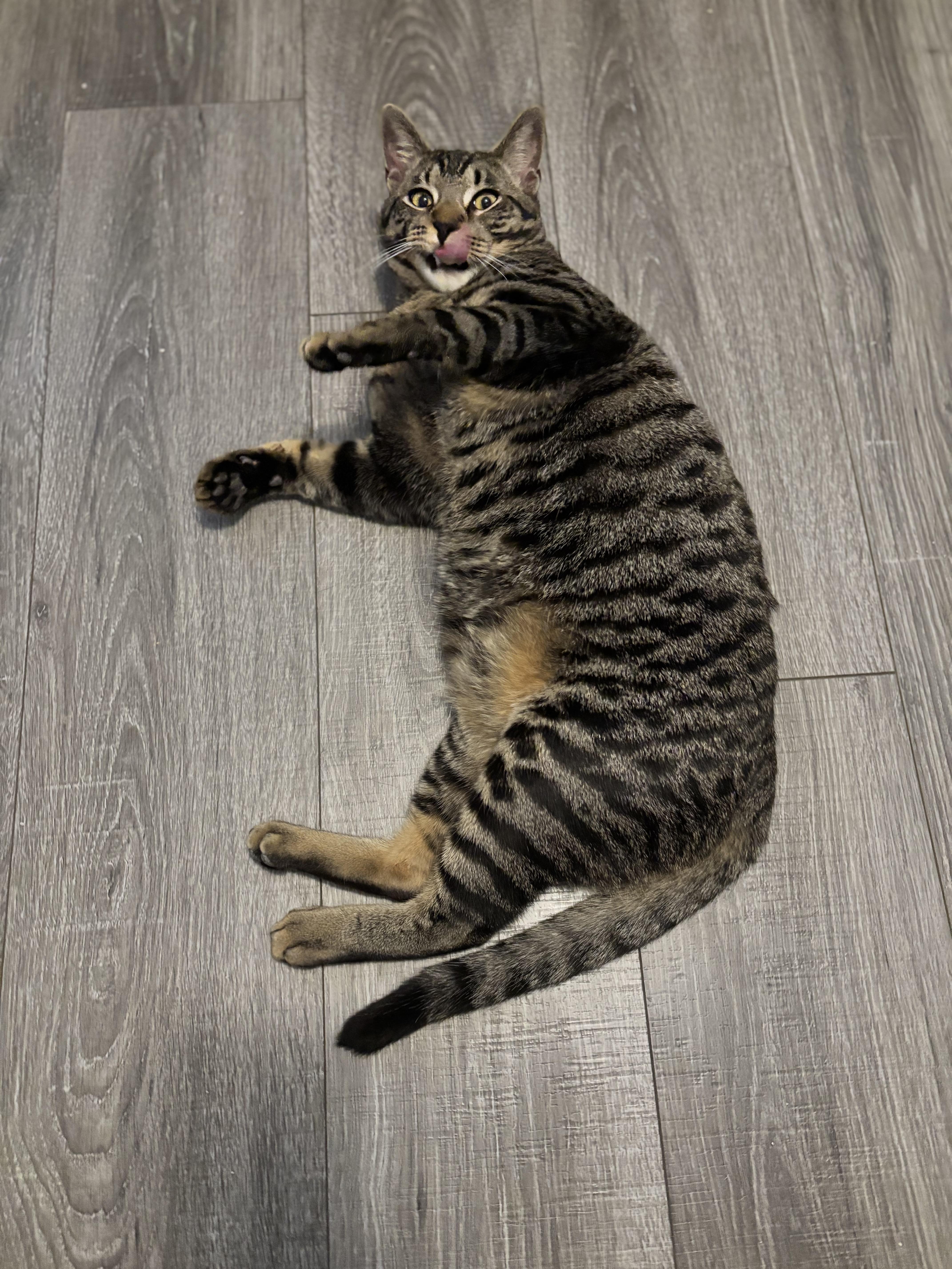 Donovan  From Forgotten thumbnail 3