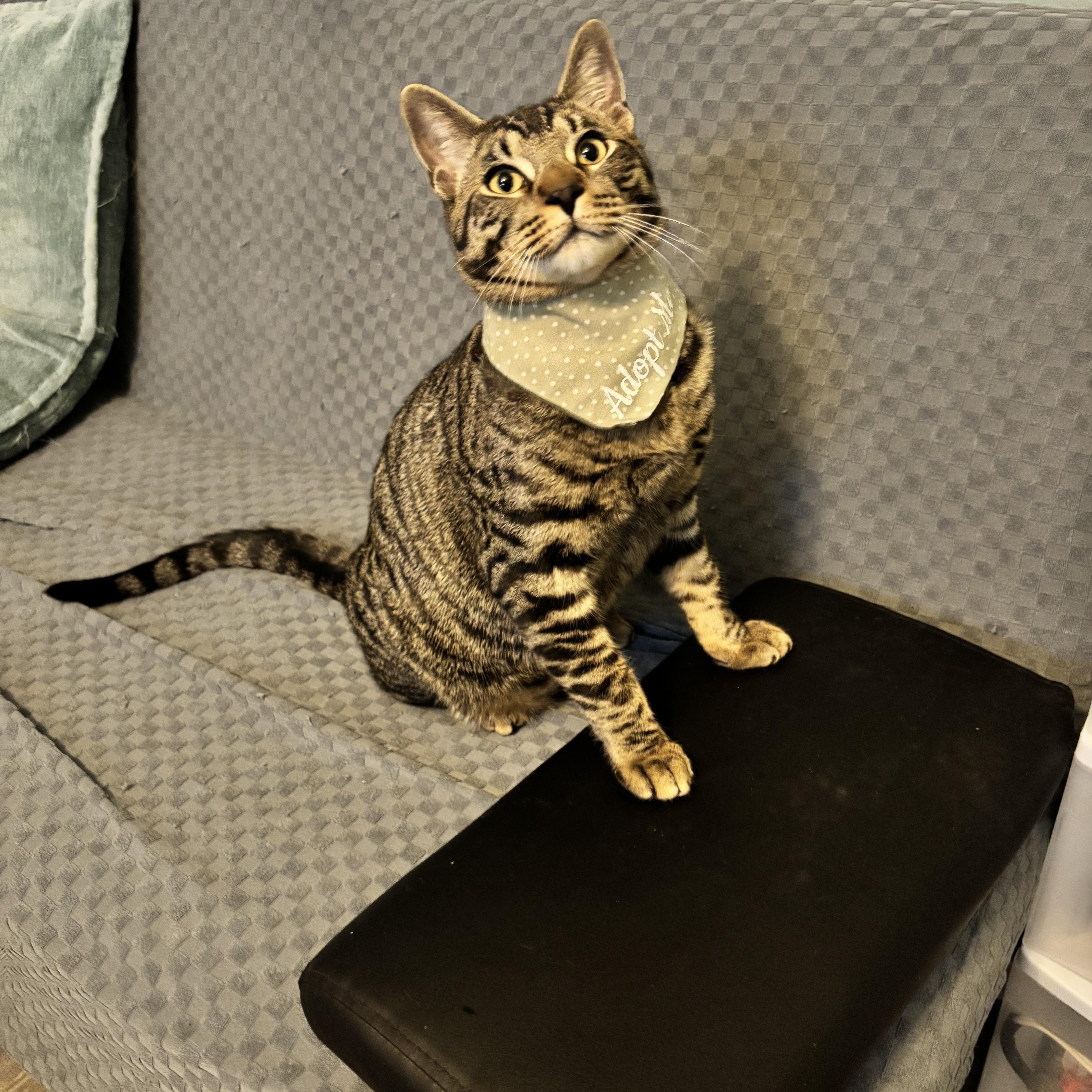 Donovan  From Forgotten