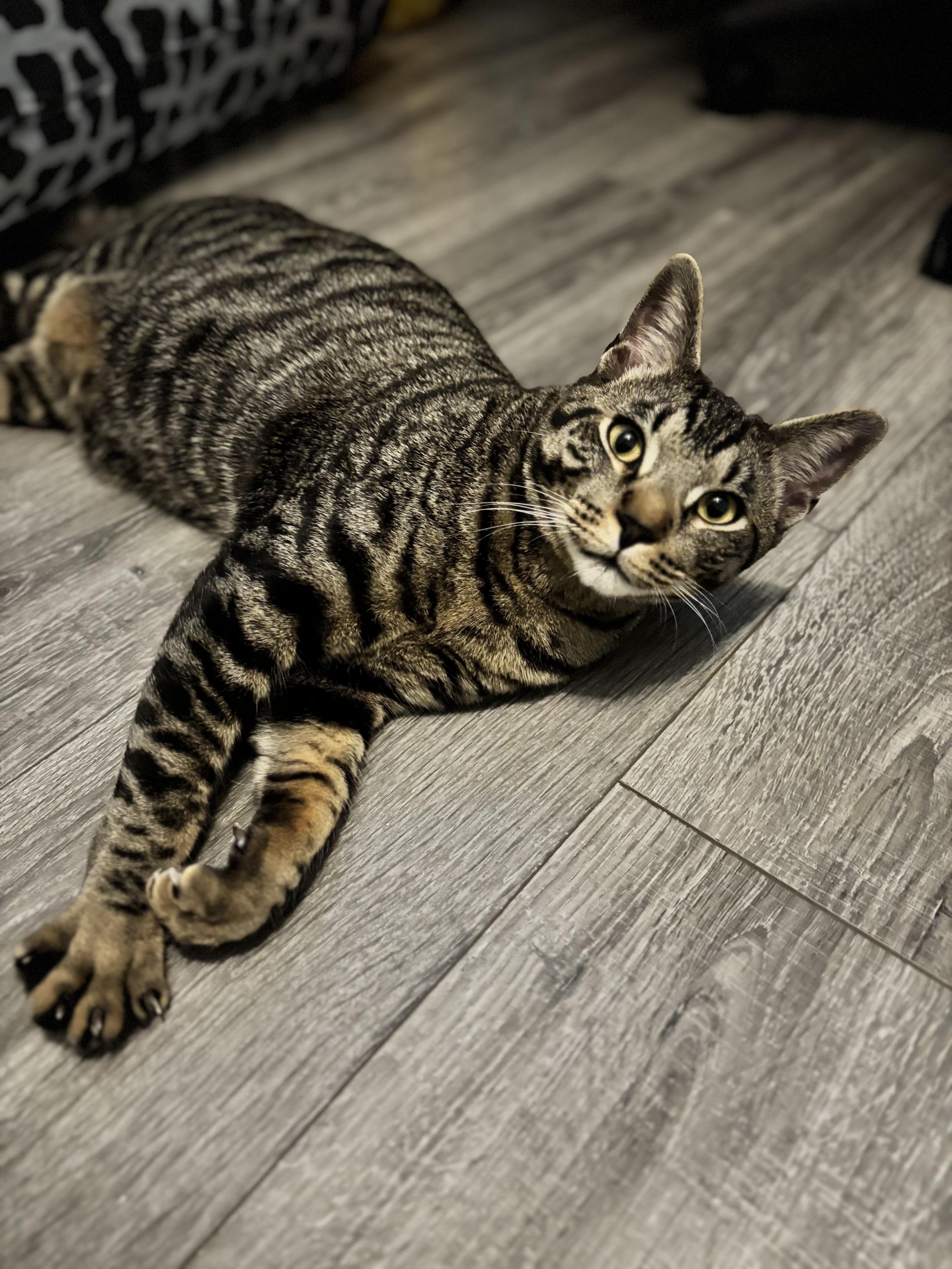 Donovan  From Forgotten thumbnail 4