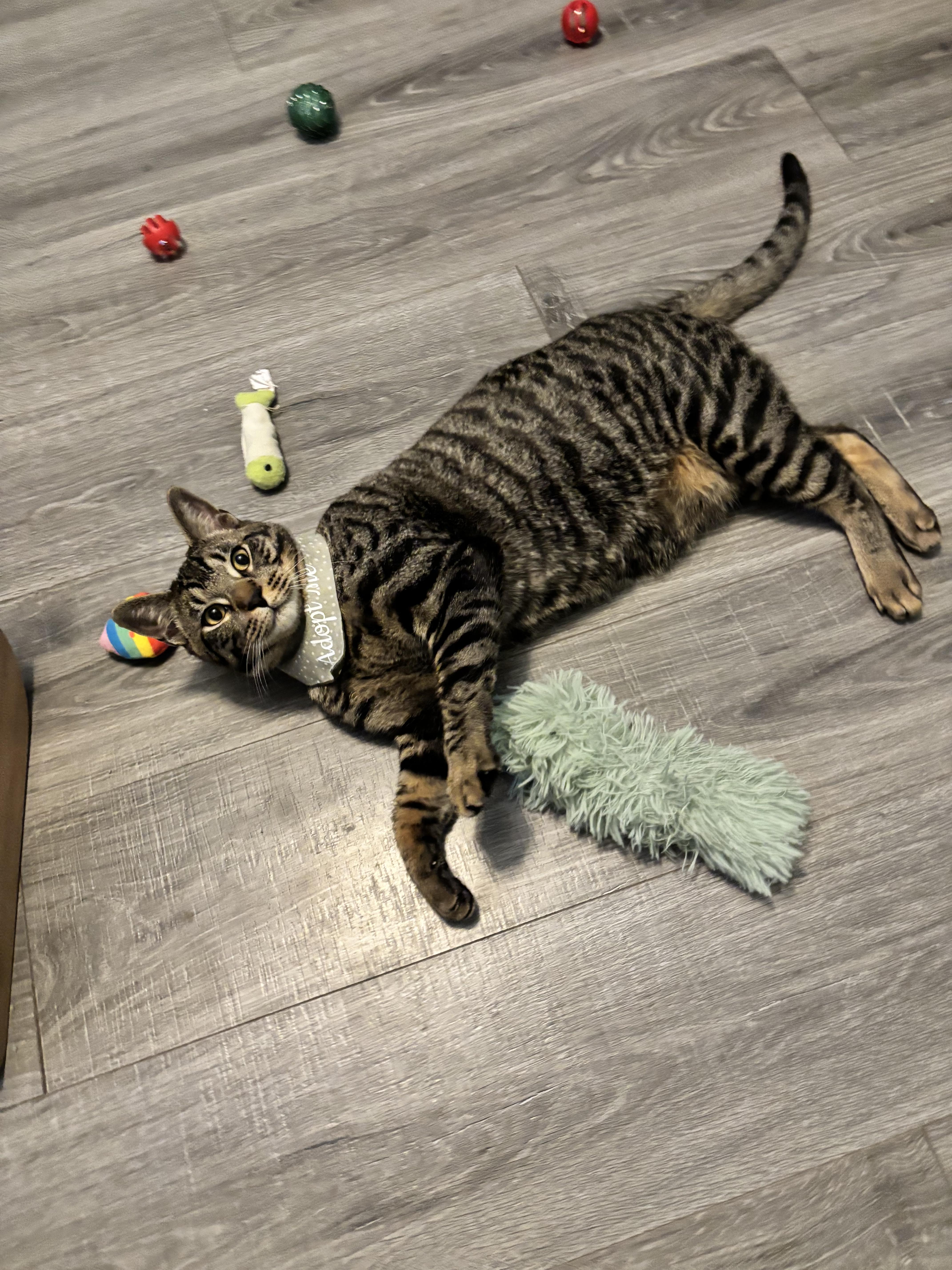 Donovan  From Forgotten thumbnail 5