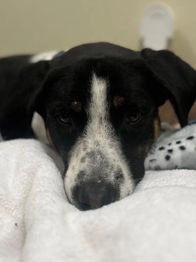 Miss Missy thumbnail 2