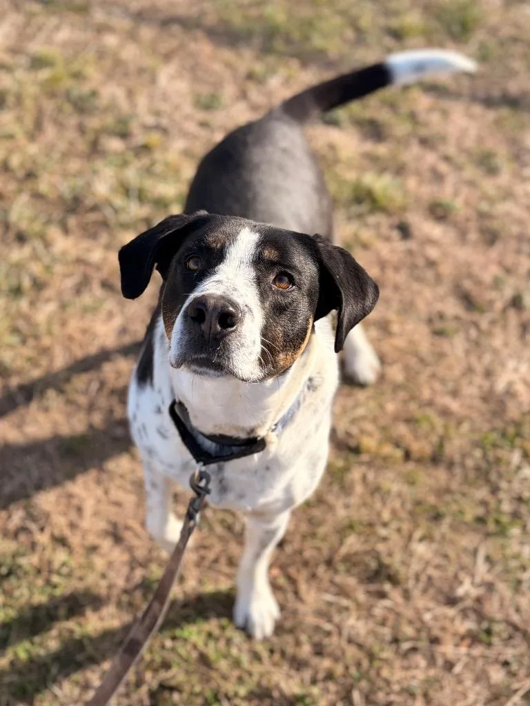 Miss Missy thumbnail 4