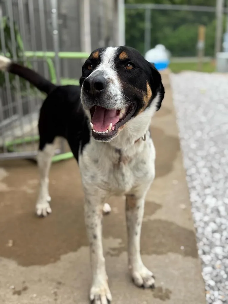 Miss Missy thumbnail 5