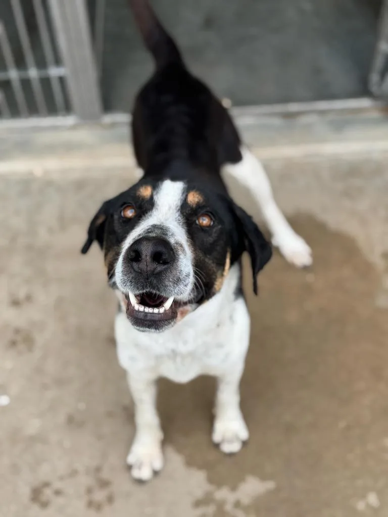 Miss Missy thumbnail 6