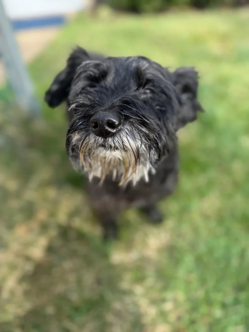 Bridgette thumbnail 2