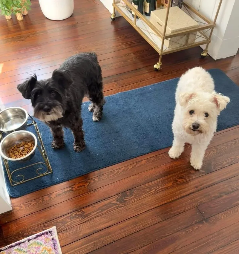 Bridgette thumbnail 3