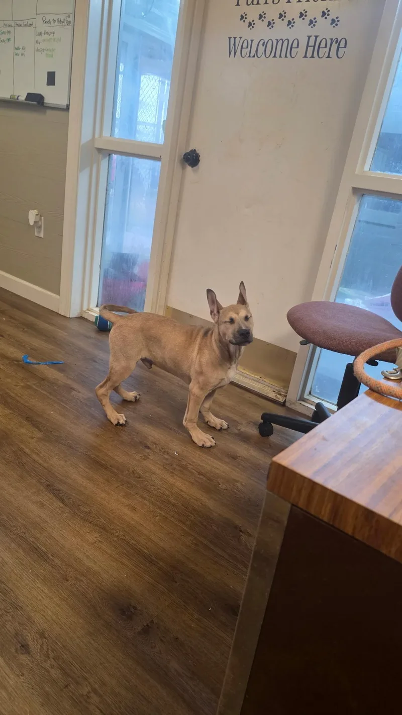 Rucker Roo thumbnail 4