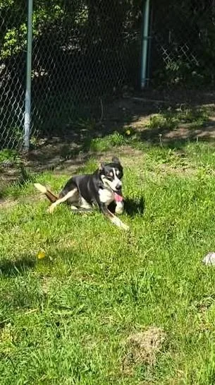 Maisey thumbnail 3