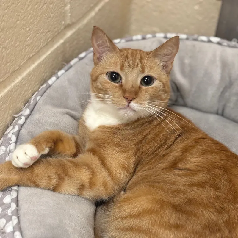 Sunshine thumbnail 2