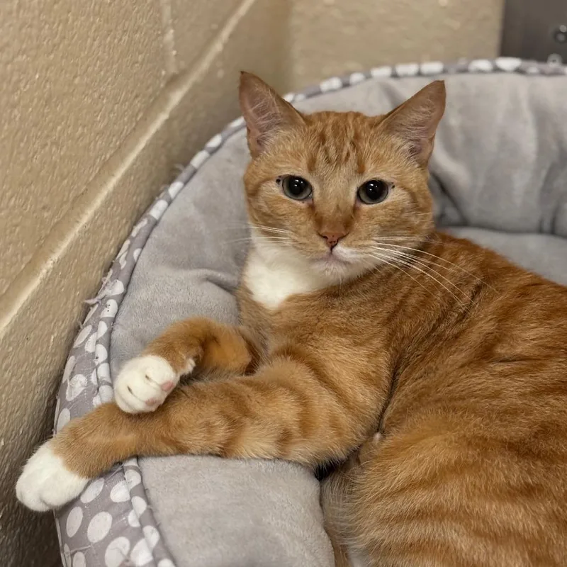 Sunshine thumbnail 5