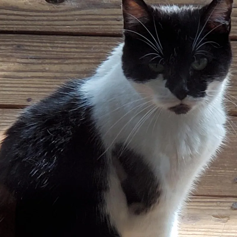 Michelle thumbnail 4