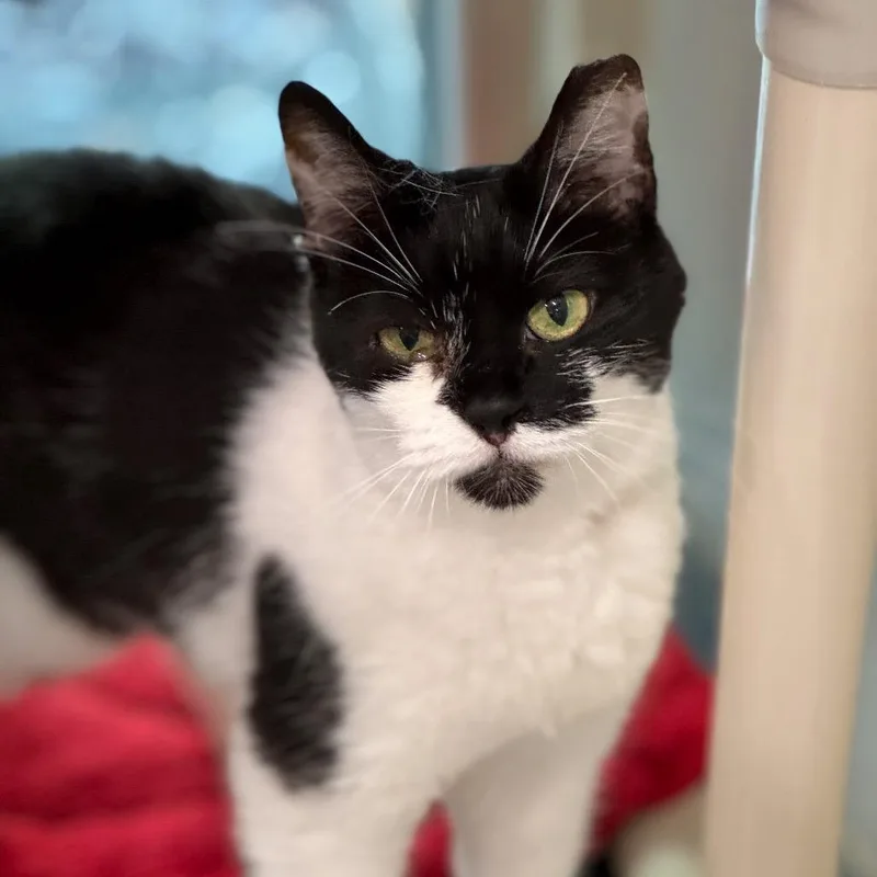 Michelle thumbnail 5