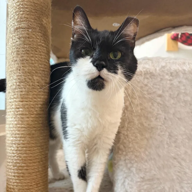 Michelle thumbnail 6