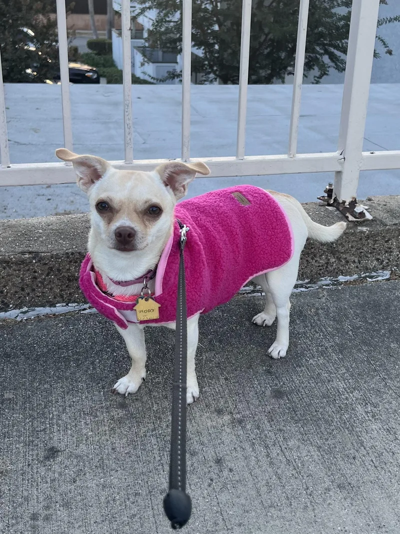 Paris AKA Piper thumbnail 3