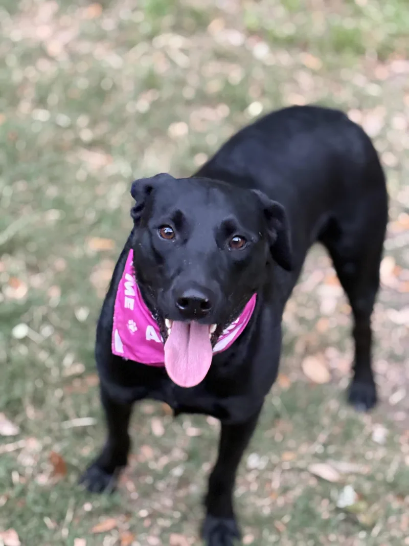 Twinkles thumbnail 3