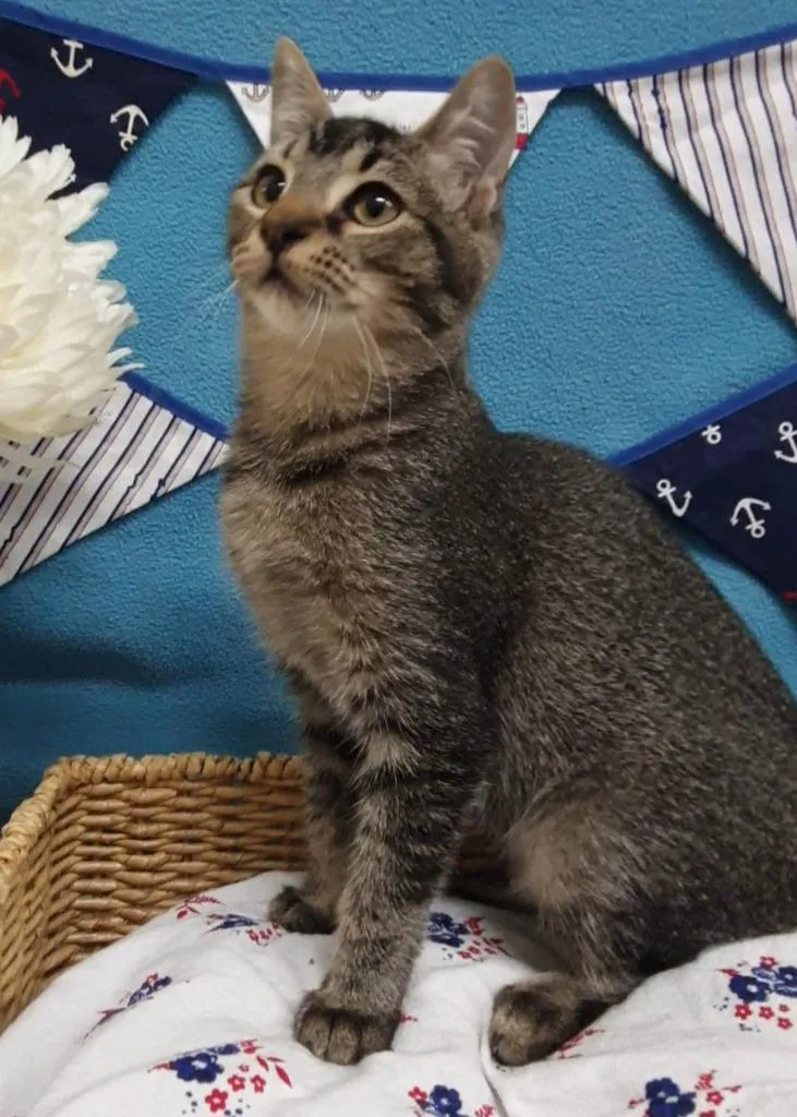 Roxana  Zaniah thumbnail 2