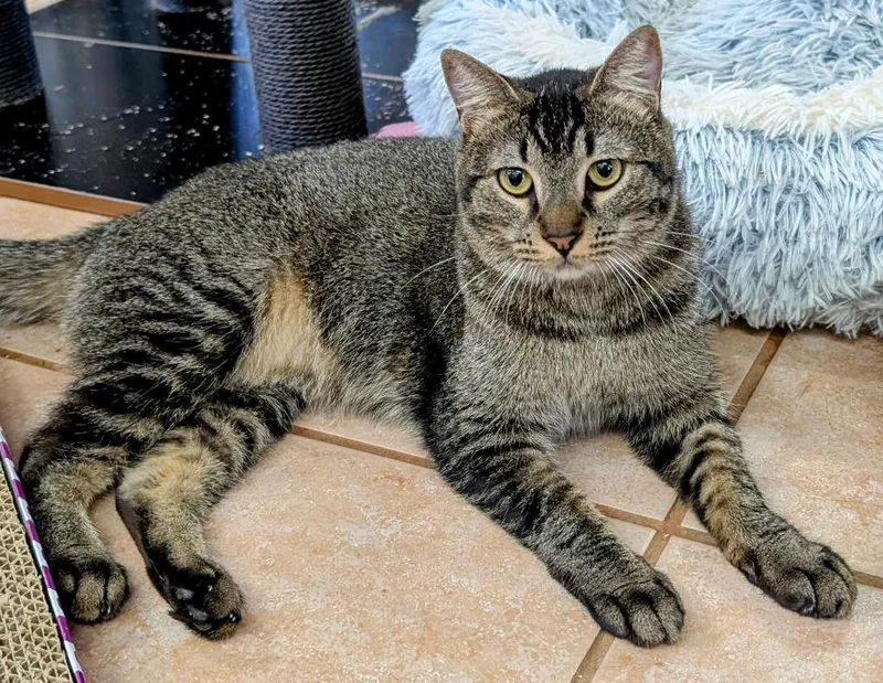 Roxana  Zaniah thumbnail 5