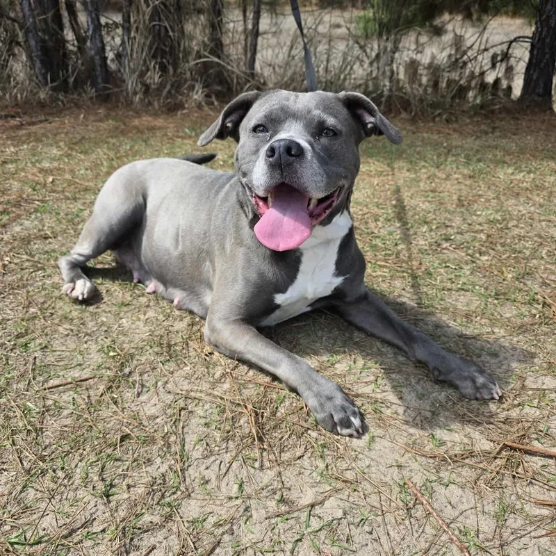 Winnie Mae thumbnail 4