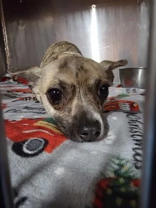 60817457 thumbnail 2