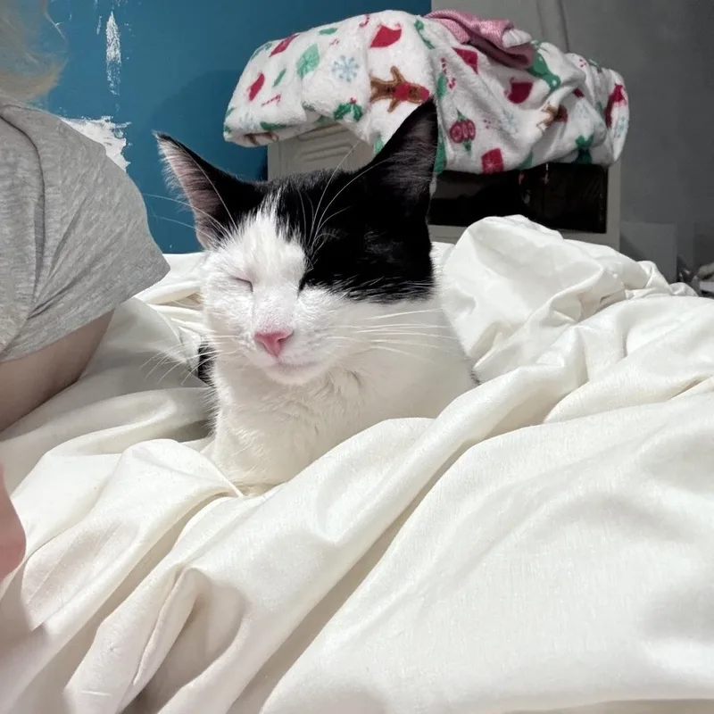 Millie thumbnail 2