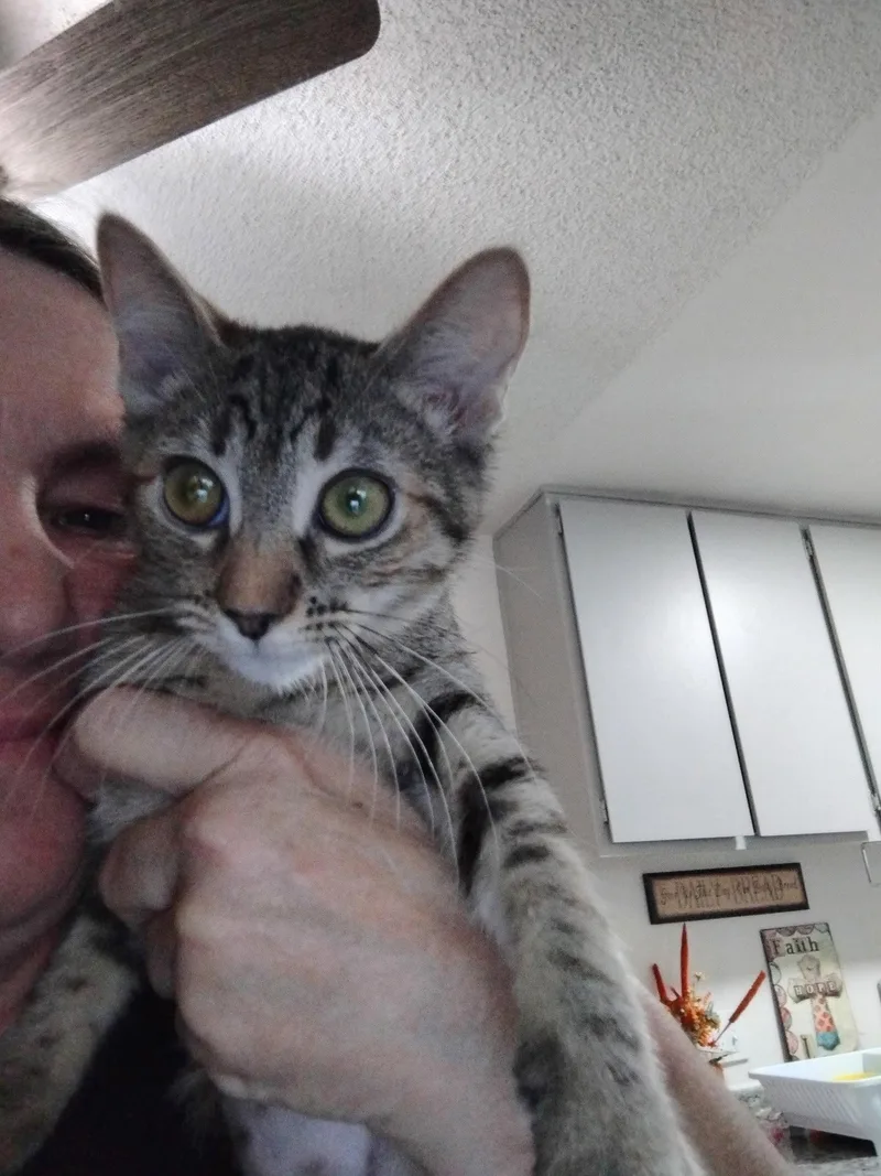 Lily thumbnail 2