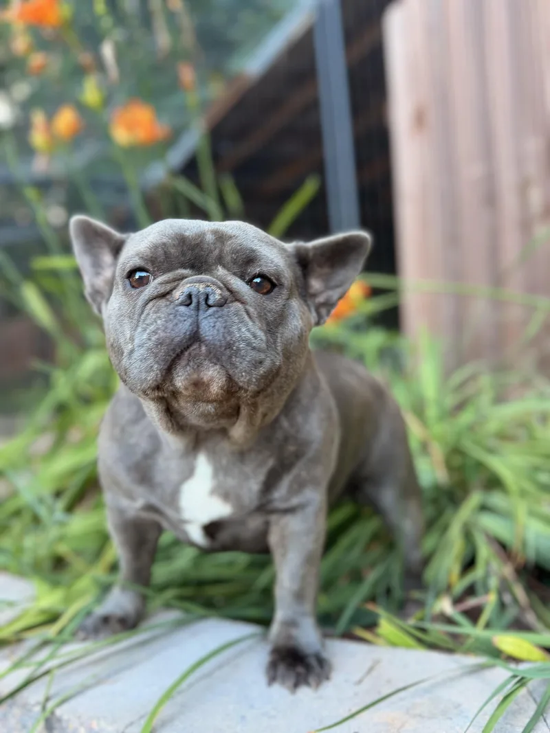 Hannah thumbnail 4