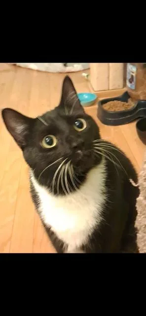 Midnight thumbnail 2