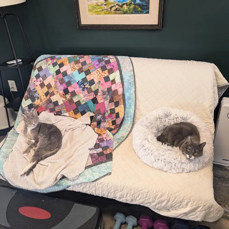 Little Edie thumbnail 3