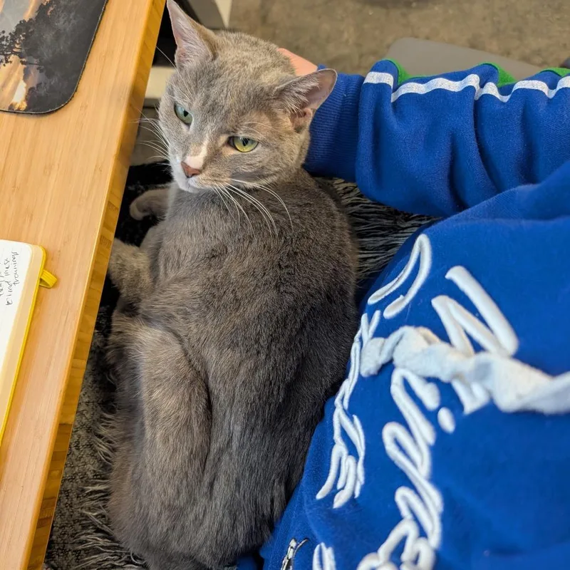 Little Edie thumbnail 6