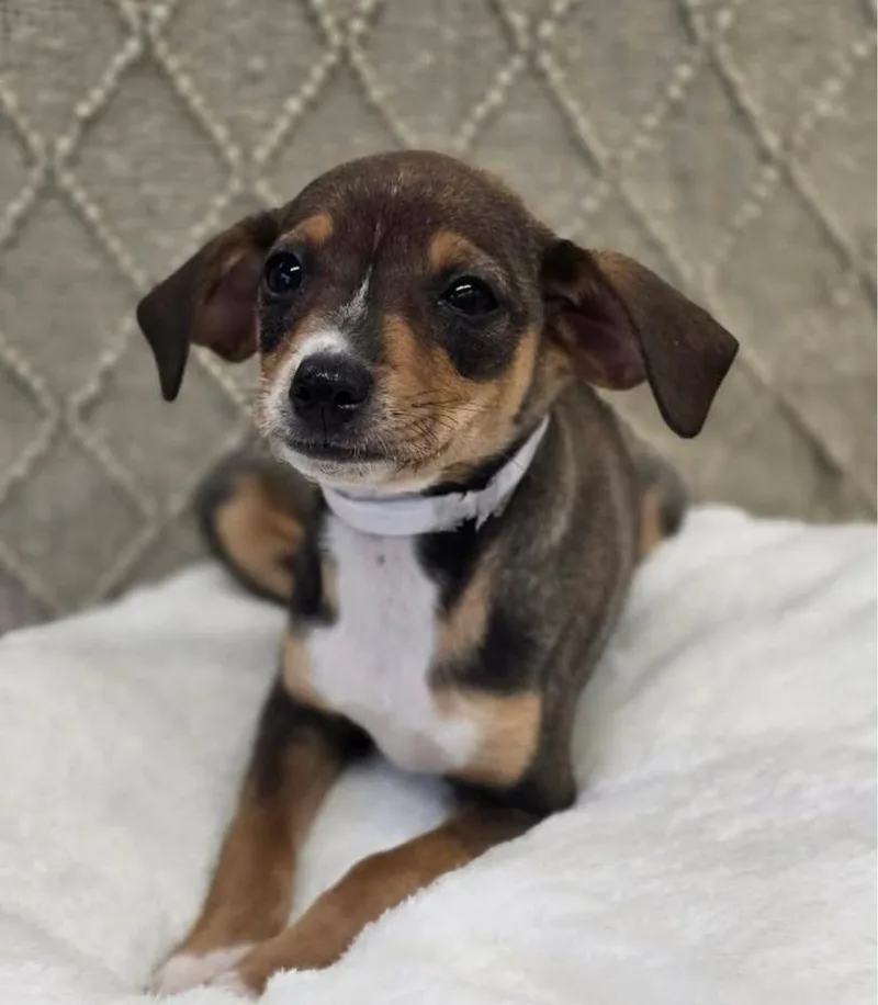 Maggie