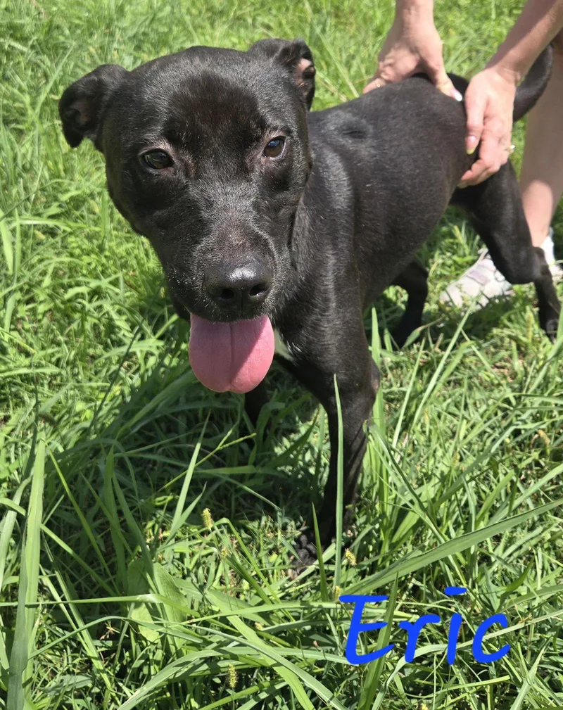 Eric Cartmen thumbnail 2