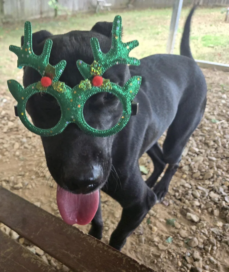 Eric Cartmen thumbnail 3