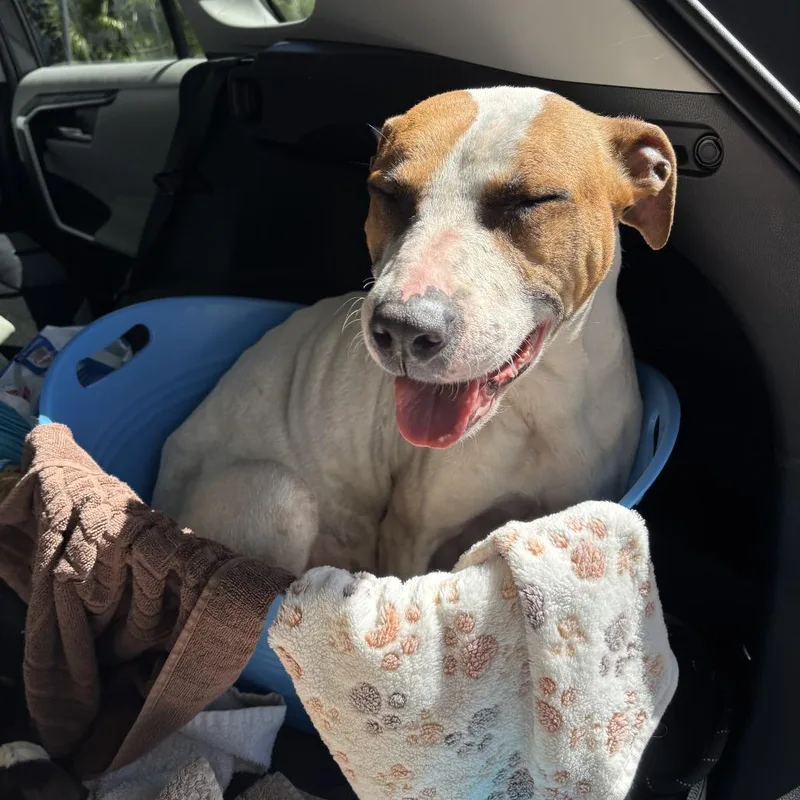 Nonna Rosa thumbnail 3