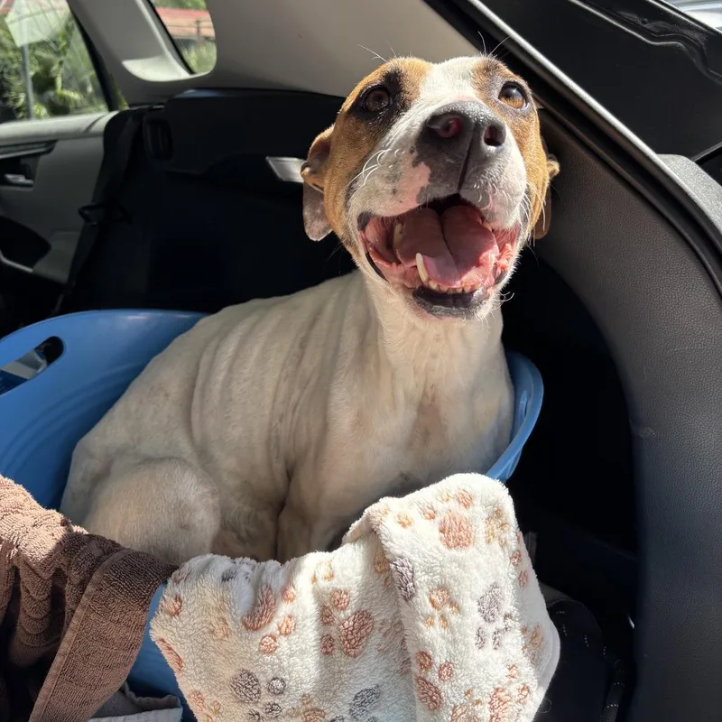 Nonna Rosa thumbnail 4