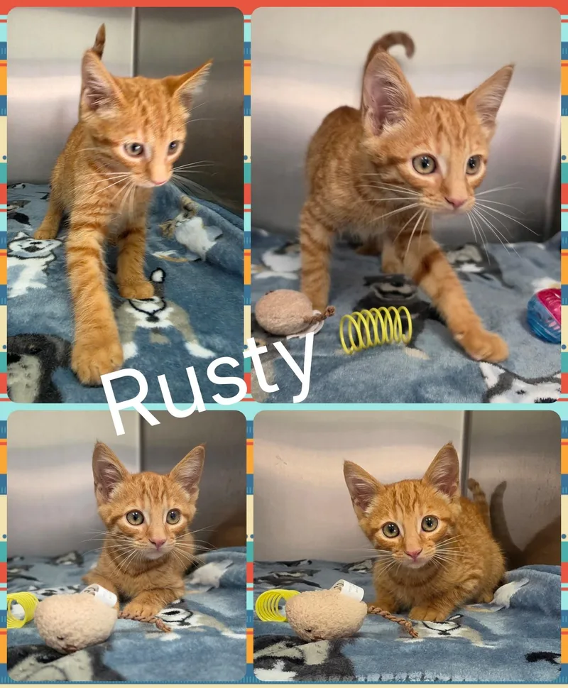 Rusty